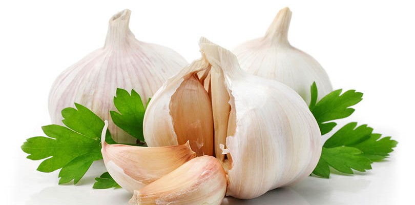 Garlic