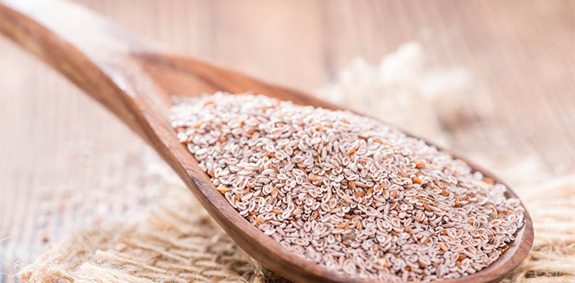 Psyllium Seed